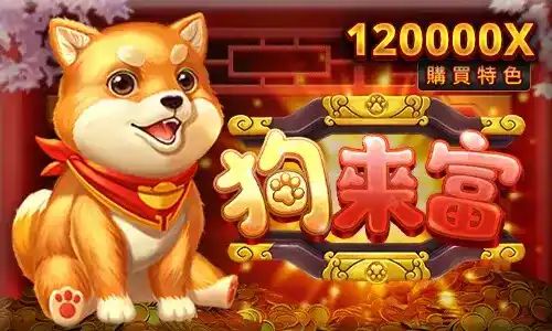 從小獎到大獎一路旺！狗來富老虎機的連續中獎秘密你知道嗎？